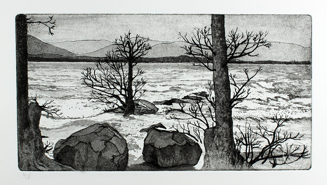 Winter Lake - Ruth de Monchaux