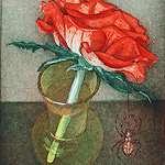 Rose with garden spider -ruth demonchaux