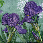 Irises -ruth demonchaux