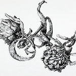 Artichokes drawing by Ruth deMonchaux