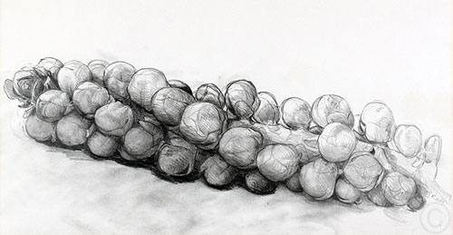 Brussel Sprouts - drawing  by Ruth deMonchaux